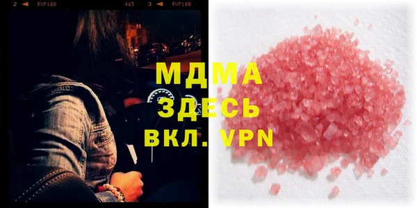 сатива Бородино