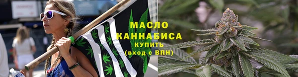 сатива Бородино