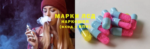 сатива Бородино
