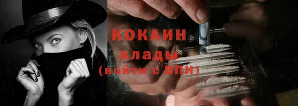 сатива Бородино
