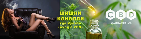 сатива Бородино