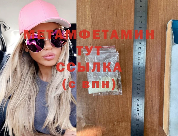 сатива Бородино