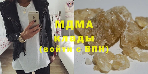 сатива Бородино