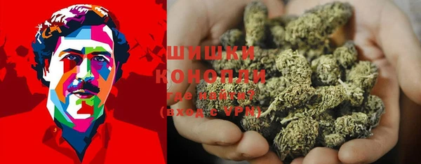 сатива Бородино